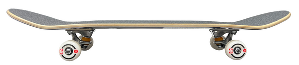 Birdhouse Premium Quality Tony Hawk Complete Skateboard Skull 2 Chrome 7.75"